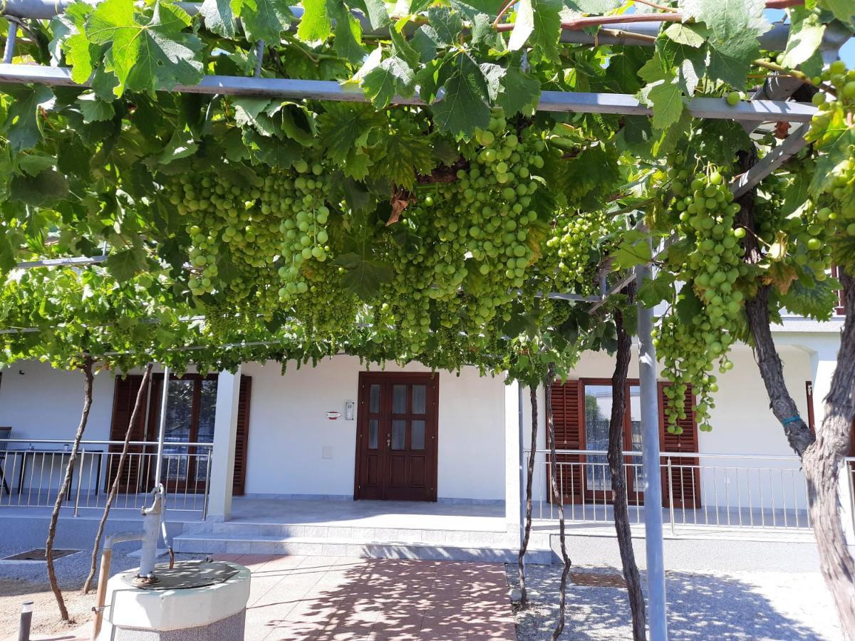 Green House Apartments Novi Vinodolski Exterior photo